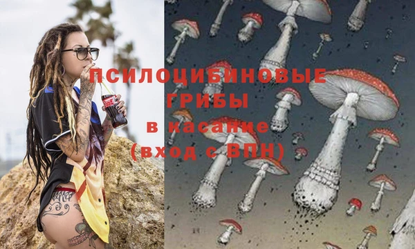 ПСИЛОЦИБИНОВЫЕ ГРИБЫ Гусиноозёрск