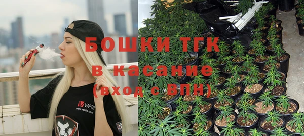 a pvp Гусь-Хрустальный