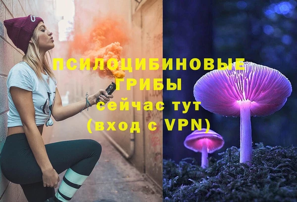 ПСИЛОЦИБИНОВЫЕ ГРИБЫ Гусиноозёрск