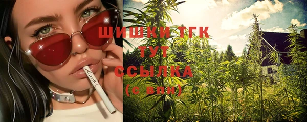 ПСИЛОЦИБИНОВЫЕ ГРИБЫ Гусиноозёрск