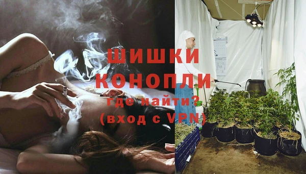 a pvp Гусь-Хрустальный