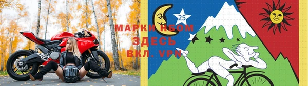 ПСИЛОЦИБИНОВЫЕ ГРИБЫ Гусиноозёрск