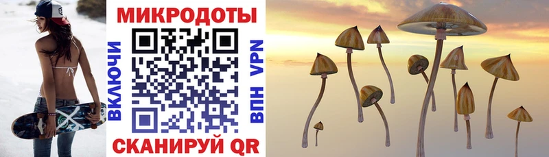 Галлюциногенные грибы GOLDEN TEACHER Сретенск